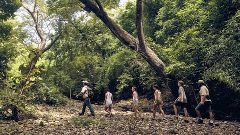 A group of people hiking through a forest.