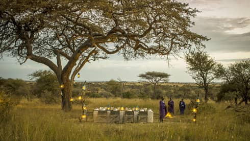 Three Maasai stand beside set dining table and chairs under a tree, lanterns in the Serengeti 