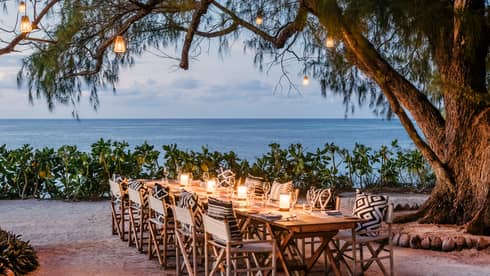 Lanterns hang from tree branches, line long outdoor dining table on beach