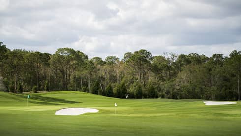 View over large green golf course driving range, trees 