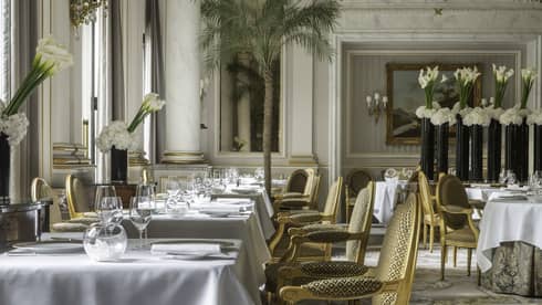 Interior view of elegant restaurant with gold upholstered chairs, white table clothes, white lilies, marble columns and molding