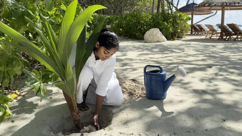 Girl planting a tree in the sand
