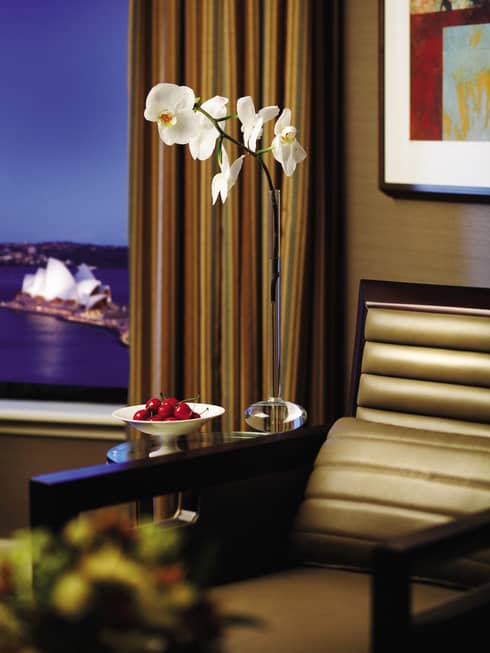 White orchid, bowl of fresh red cherries beside armchair, window with Opera House harbour view at night