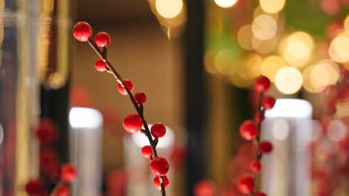 Festive holly berry centrepiece