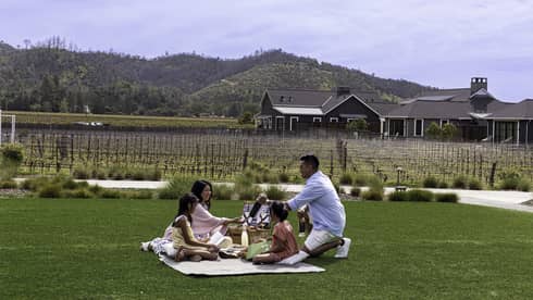 Parents hold bottles of wine and their children read on a blanket on a green lawn in front of rows of vines and grassy hills.