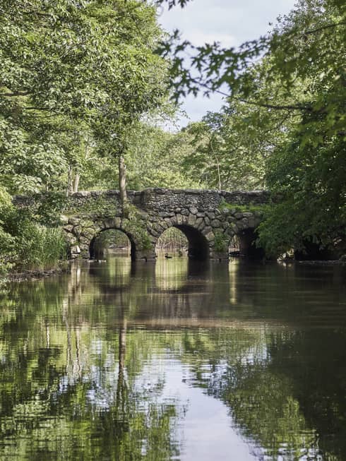 A stone bridge crossing a river surrounded by trees.