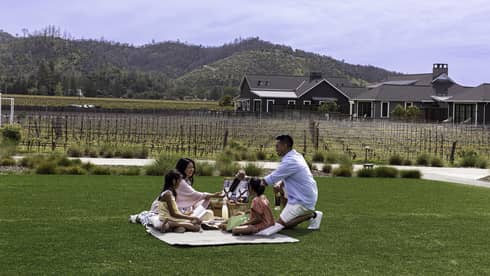 Parents hold bottles of wine and their children read on a blanket on a green lawn in front of rows of vines and grassy hills.