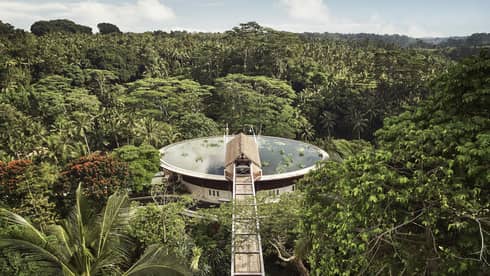 Aerial view of large water-filled lotus pond rooftop pool surrounded by lush palms and forest, long wood footbridge