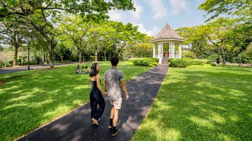 A man and woman hold hands and walk along an asphalt trail through the Singapore Botanic Gardens 