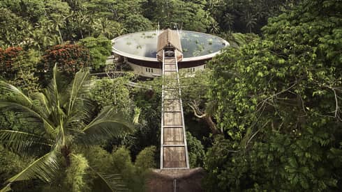 Aerial view of large water-filled lotus pond rooftop pool surrounded by lush palms and forest, long wood footbridge