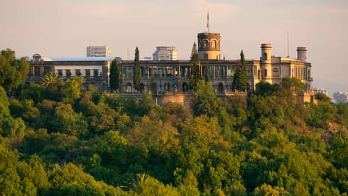 A castle in the distance behind a lush forest.