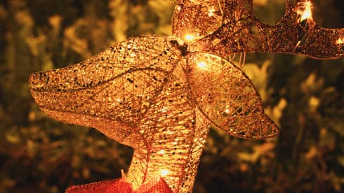 Close-up of a lit, golden wire reindeer wearing a large red bow with hazy festive greenery in the background.
