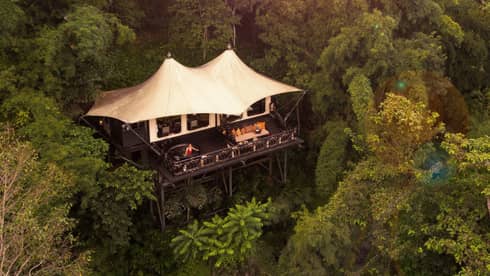 Luxury treehouse tent lodge nestled in dense green jungle at sunset