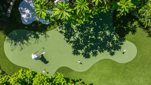 Bird's-eye view of a verdant putting green surrounded by manicured grass and palm trees
