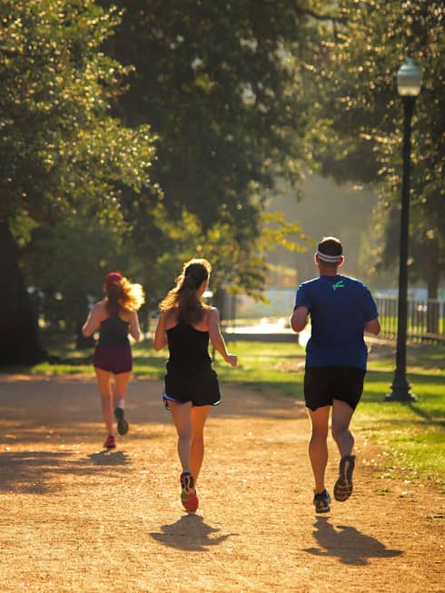 Back view of two women and a man in shorts and T-shirts, jogging down a park path