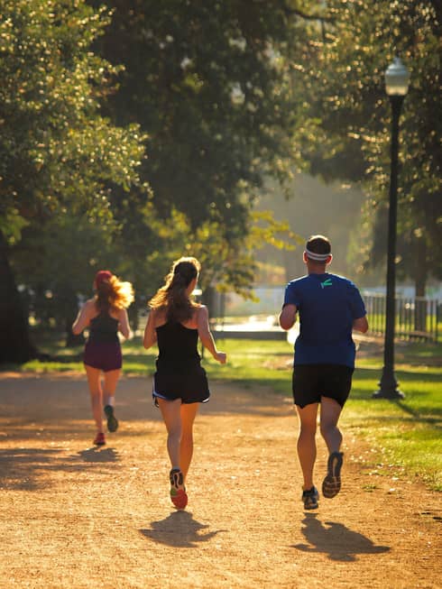 Back view of two women and a man in shorts and T-shirts, jogging down a park path