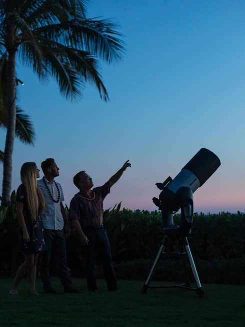 Silhouetted amid palm trees and a telescope, a guide points at the sky as two guests look up, a lit-up gazebo behind them.