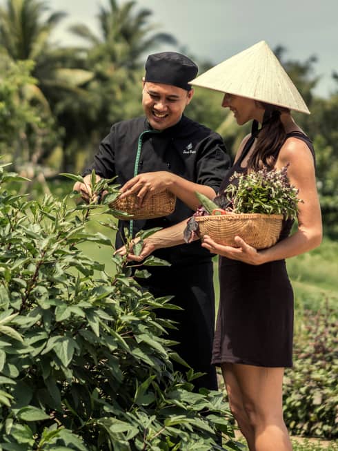 Chef, woman in hat with basket pick herbs, greens from garden