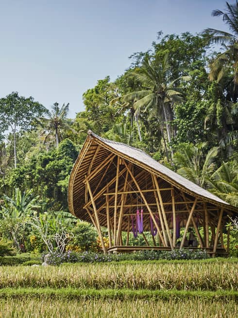 Four Seasons Hotels and Resorts | Luxury Hotels | Four Seasons | Bali