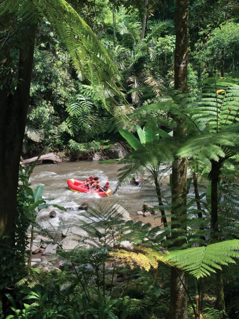 An aerial view of a red river raft shown through the trees 
