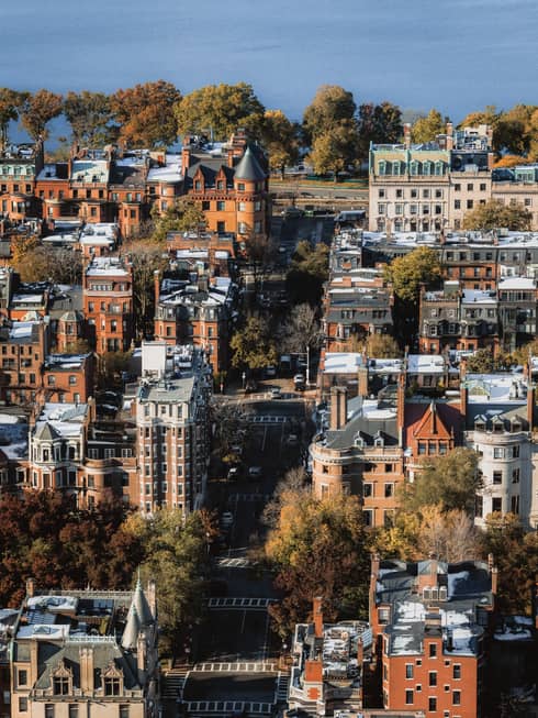 An overhead shot of falls trees and brick buildings in a grid pattern.