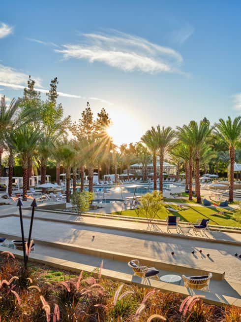 An outdoor area with chairs, pool and palm trees.