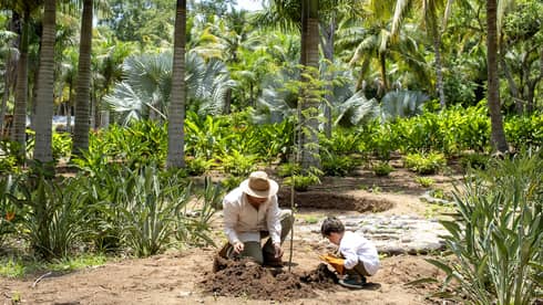 An adult and a child kneel near a small mound of loose earth on a path in a lush forest.