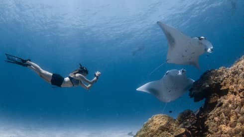 A woman taking photos of sea creatures under water.