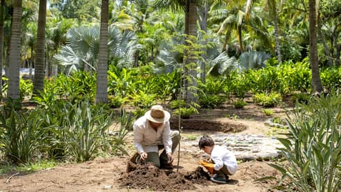 An adult and a child kneel near a small mound of loose earth on a path in a lush forest.