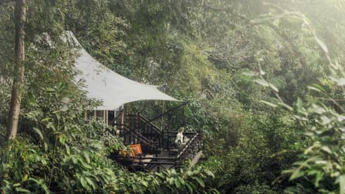 Woman stands on treetop terrace patio, surrounded by tropical forest