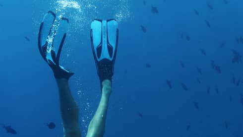 Underwater view of man diving with fins on feet near fish, lagoon shark