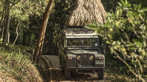 Jeep driving down path in forest past thatched-roof hut