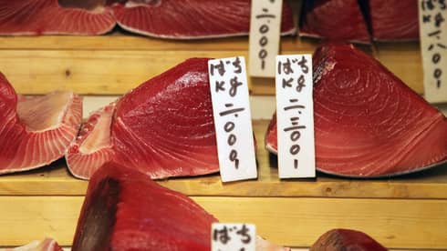 Close-up view of labelled cuts of glistening, pinky-red fresh tuna displayed on three levels of wooden risers.