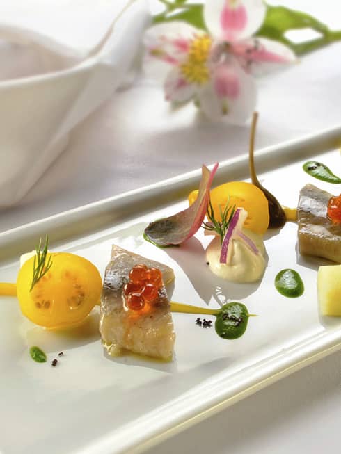An intricate and colorful dish on a rimmed plate sits on a tablecloth cover table