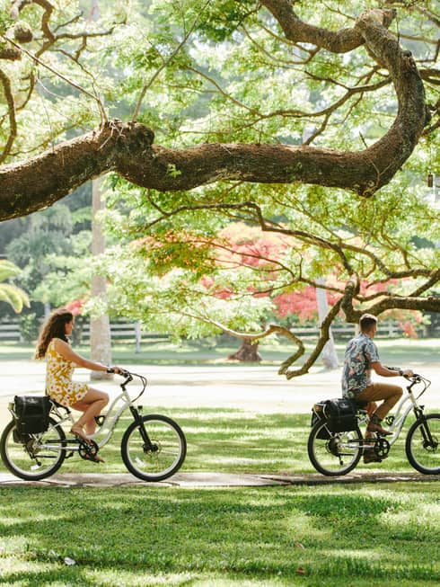 Man and woman ride bicycles through a grove of trees