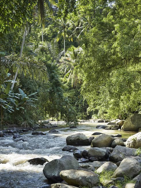 Bucolic sun-dappled river rapids rush past a bank of large rocks within a lush forest of tropical trees and green foliage.
