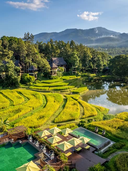Lush tropical gardens and rice paddies fill our expansive 32-acre plantation