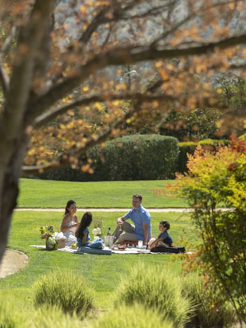 Family of four sits on a blanket on a lawn