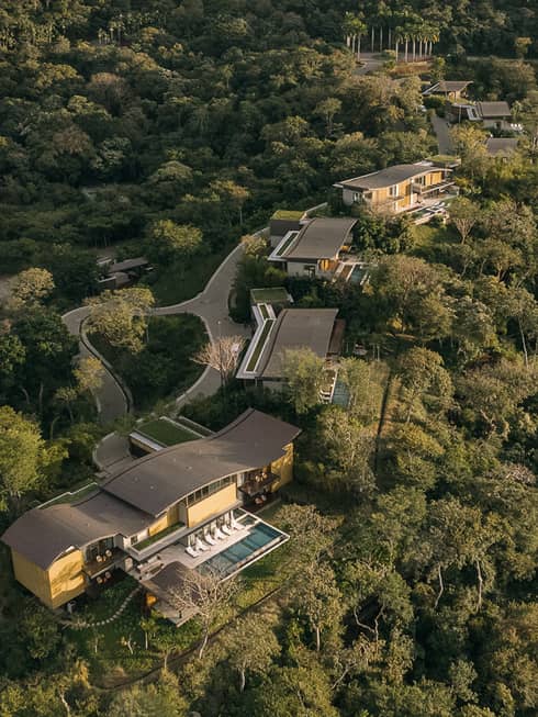 Aerial view of villas nestled amongst trees