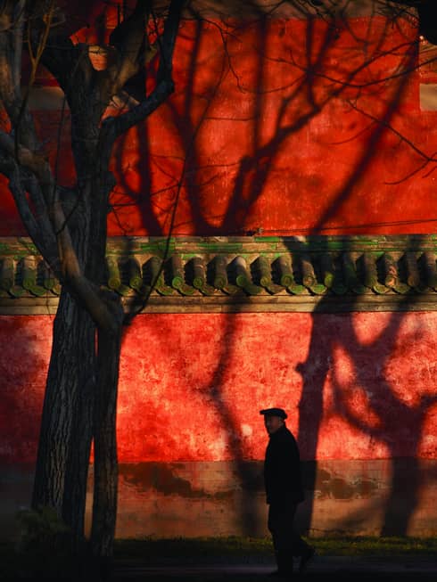 A moody image of a man walking along a red building that is covered with shadows of bare trees