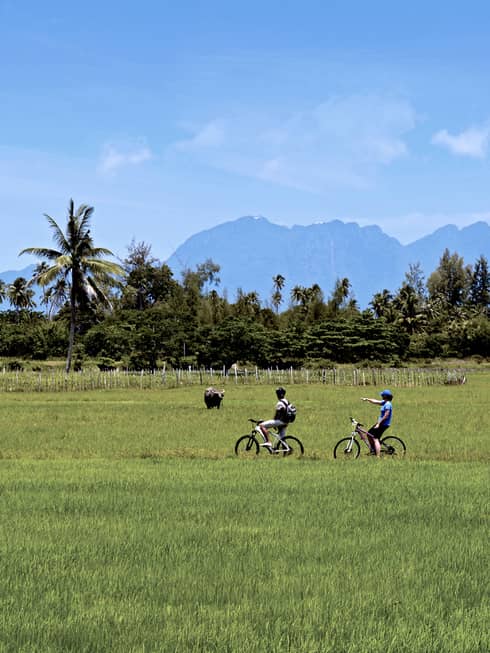 Couple riding bicycles through grassy field, tropical trees, mountains in distance