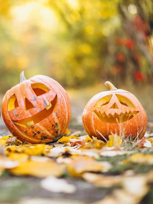 Three carved pumpkins in a row on ground atop fallen leaves