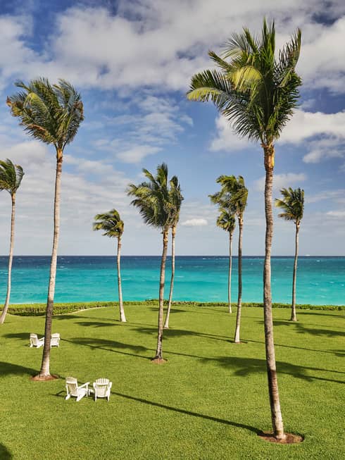 White deck chairs under tall, slim palm trees blowing in breeze on green lawns by Atlantic Ocean