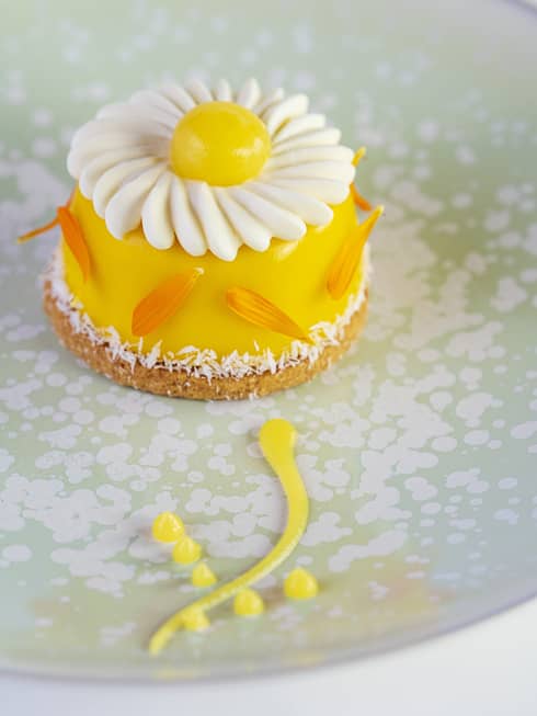 Bright yellow and orange round cake topped with fanned cream with yellow yolk-like centre
