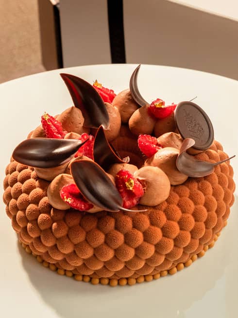 Chocolate gâteau topped with chocolate leaves, sliced raspberries and dollops of chocolate icing