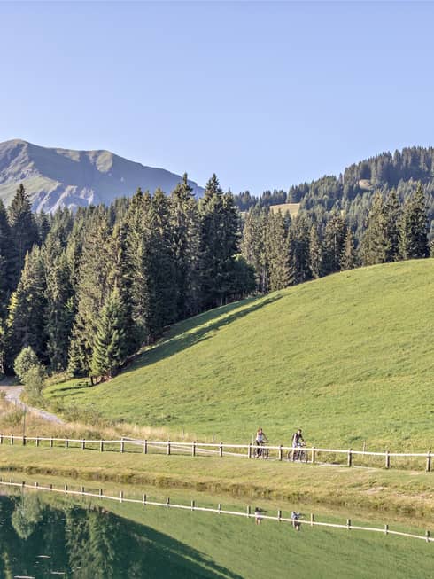 View of tree-covered mountains and meadow with two cyclists riding in the forefront