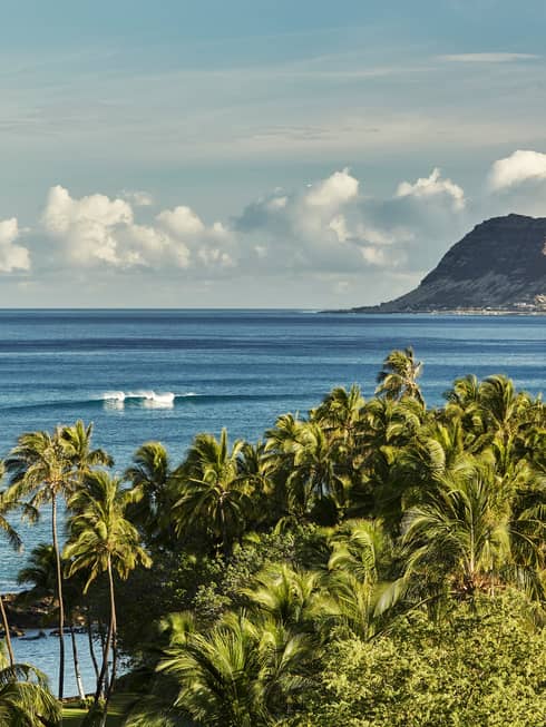 View over tropical forest, palm trees to big waves in ocean, mountains, clouds