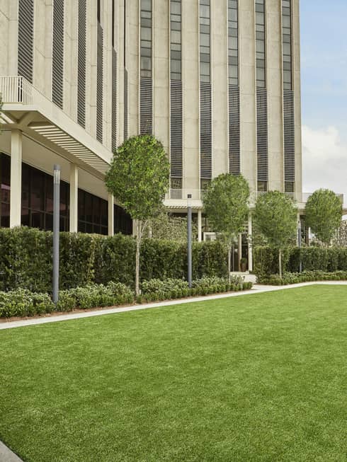 An outdoor area with a lawn of green grass and trees.