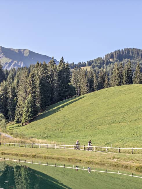 View of tree-covered mountains and meadow with two cyclists riding in the forefront