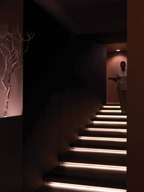 Spa staff descends down illuminated stairs, wall display with branches
